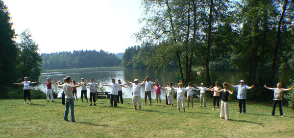 15 Ausdrucksformen des Taichi Qi Gong