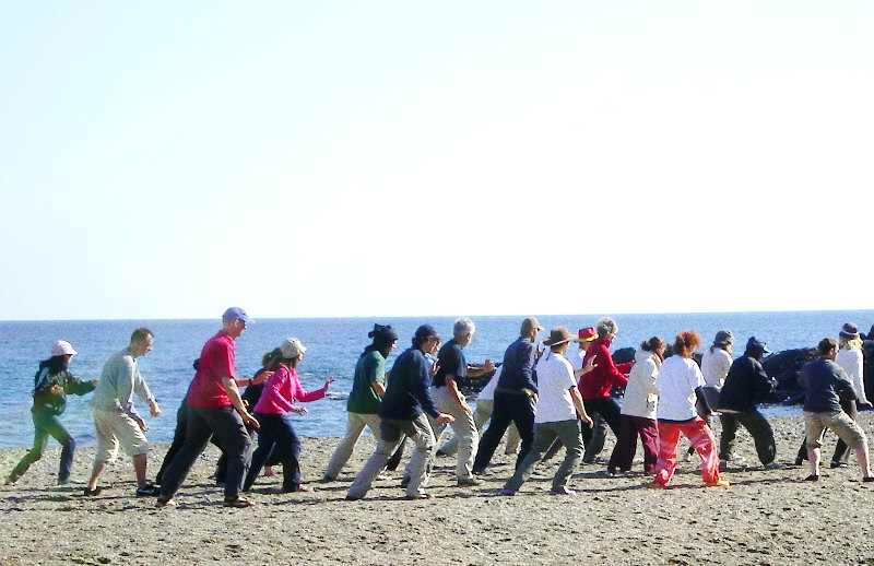 Taichi in Collioure - Centre Qi Gong